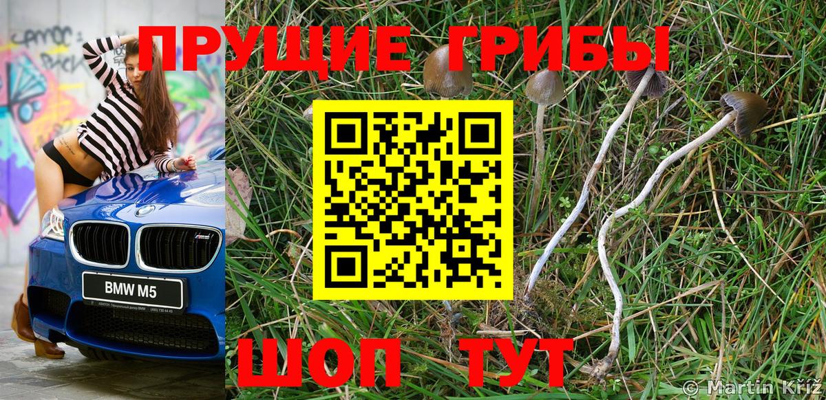 Псилоцибиновые грибы мухоморы Каменск-Шахтинский