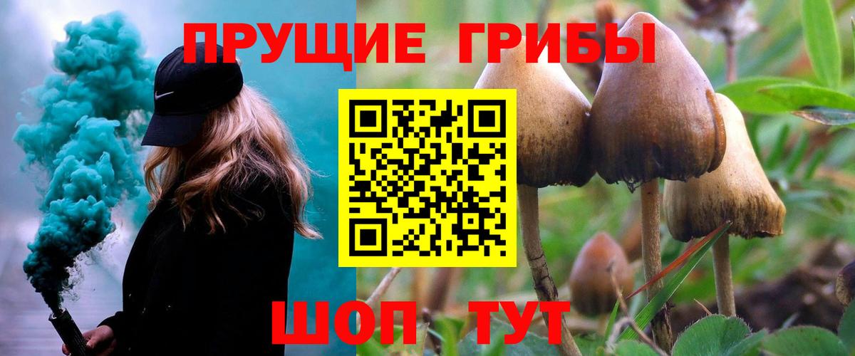 Псилоцибиновые грибы ЛСД  Вход с VPN  Каменск-Шахтинский 