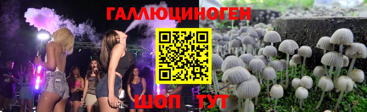 ГЕРОИН  Каменск-Шахтинский  MDMA  ГАШ  КОКАИН  Codein  ГАШ  Марихуана  Меф МЯУ МЯУ кристаллы  Вход с VPN 